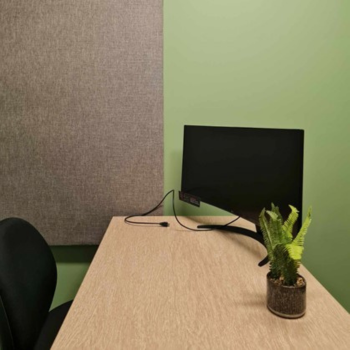 Simple workspace with a wooden desk, black monitor, black chair, small potted fern, and green and grey acoustic panel walls.